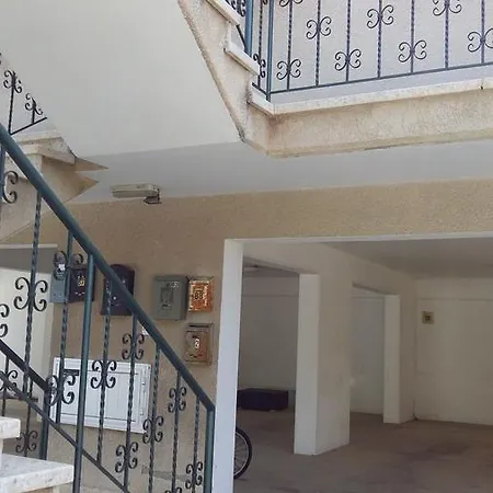 English Style Bayview Amathusia *